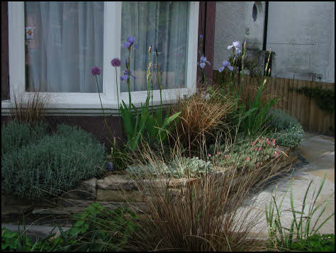 garden design Willesden Green, Brent • London