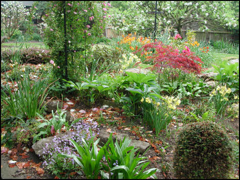garden design Brondesbury Park, Brent • London