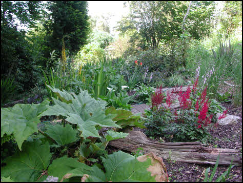 garden design Oxhey, Hertfordshire