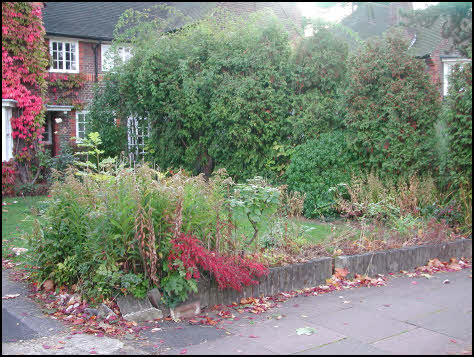 garden design Pinner, Middlesex