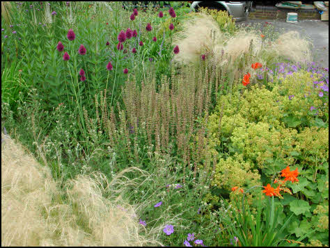 garden design Pinner, Middlesex