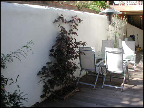 garden design Willesden Green, Brent • London