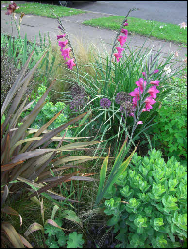 garden design Pinner, Middlesex