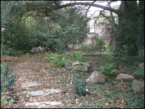 garden design Gerrards Cross, Buckinghamshire