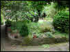 garden design Brondesbury Park, Brent • London