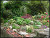 garden design Brondesbury Park, Brent • London